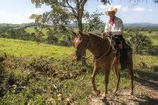 Horesebacker rider in San Ignacio, Belize – Best Places In The World To Retire – International Living